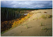 Great Sand Dunes, Kobuk Valley National Park, Alaska.  ( )