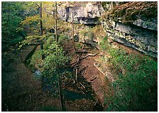 Mammoth Cave National Park, Kentucky.  ( )