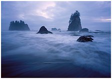 Second Beach, Olympic National Park, Washington.  ( )