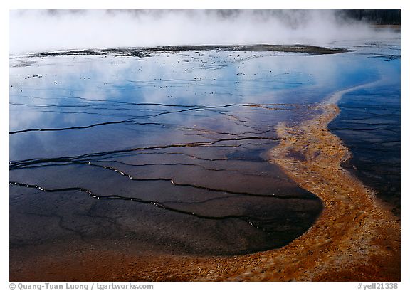 Great Prismatic Springs, Yellowstone National Park, Wyoming.  ()