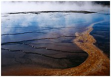 Great Prismatic Springs, Yellowstone National Park, Wyoming.  ( )