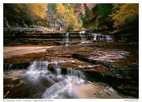 North Creek, Zion National Park, Utah.  ()