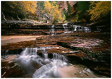 North Creek, Zion National Park, Utah.  ( )