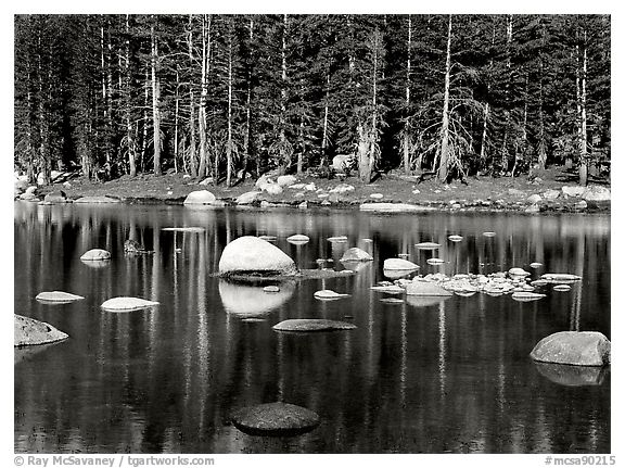 Pond, Yosemite High Country, 1981.  ()