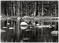 Pond, Yosemite High Country, 1981.  ( )
