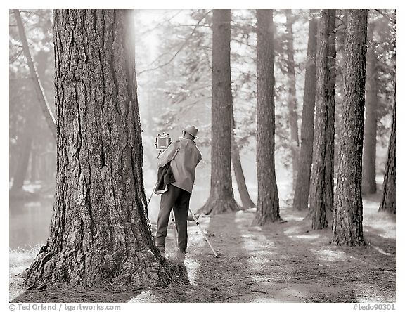 Ansel Adams Photographing in Yosemite Valley, 1973.  ()