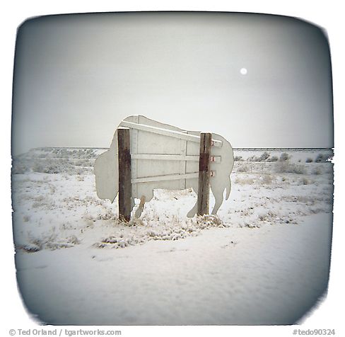 The Excessively Rare Albino Buffalo, Which Ventures Forth Only By the Light of the Full Moon, 2004.  ()