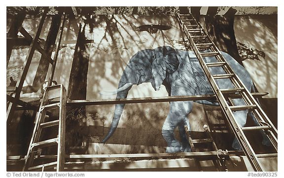 Elephant XING, 1979.  ()