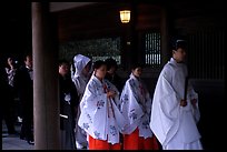 Shinto priest leads traditional wedding at the Meiji-jingu Shrine. Tokyo, Japan (color)