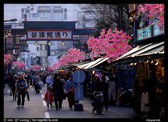 Street in Asakusa. Tokyo, Japan