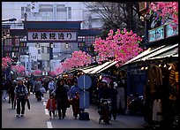 Street in Asakusa. Tokyo, Japan