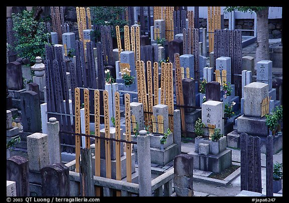 Cemetery in a courtyard. Kyoto, Japan (color)