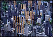 Cemetery in a courtyard. Kyoto, Japan (color)