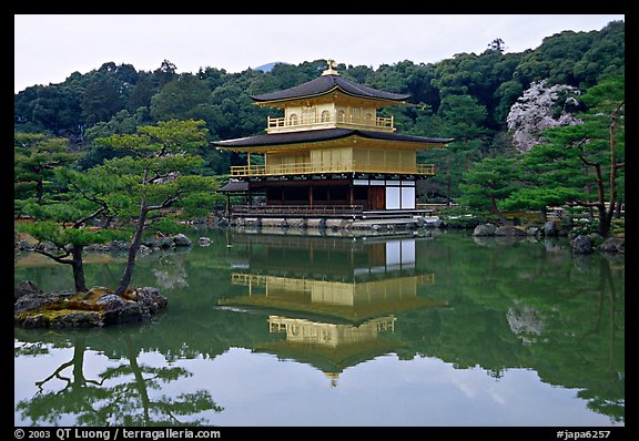 Golden pavilion, Kinkaku-ji Temple. Kyoto, Japan (color)