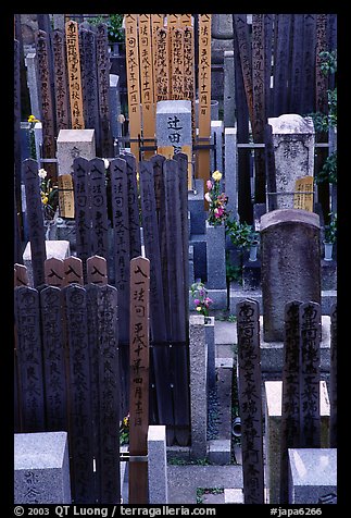 Burying grounds in courtyard. Kyoto, Japan (color)