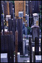 Burying grounds in courtyard. Kyoto, Japan ( color)