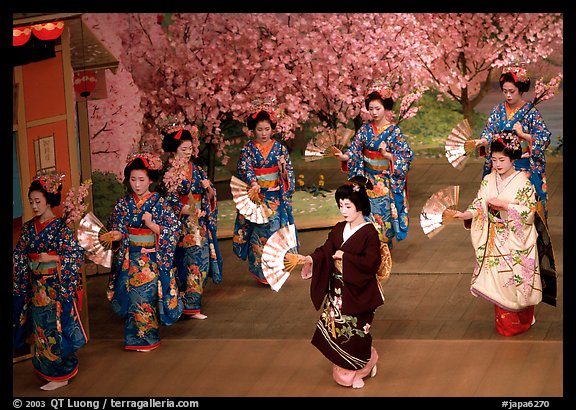 Miyako Odori (cherry blossom dance) performed at the Gion Kobu Kaburen-jo theatre. Kyoto, Japan (color)