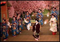 Miyako Odori (cherry blossom dance) performed at the Gion Kobu Kaburen-jo theatre. Kyoto, Japan (color)