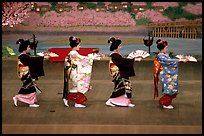 Maiko (apprentice Geisha) dress elaborately to perform the Miyako Odori (cherry blossom dance). Kyoto, Japan (color)