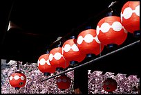 Lanterns and cherry blooms. Kyoto, Japan (color)