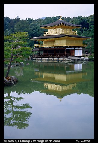 Golden pavilion, Kinkaku-ji Temple. Kyoto, Japan (color)