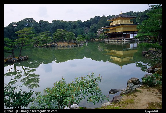 Golden pavilion, Kinkaku-ji Temple. Kyoto, Japan