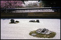 Classic stone and raked sand Zen garden, Ryoan-ji Temple. Kyoto, Japan ( color)