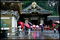 Honden (main hall) of Tosho-gu Shrine on a rainy day. Nikko, Japan