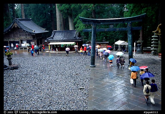 Tori in Tosho-gu Shrine on a rainy day. Nikko, Japan