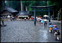 Tori in Tosho-gu Shrine on a rainy day. Nikko, Japan