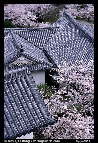 Roofs and cherry blossoms seen from the castle donjon. Himeji, Japan (color)