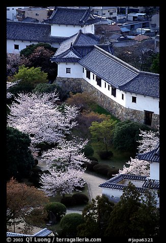 Castle grounds with blossoming cherry trees. Himeji, Japan