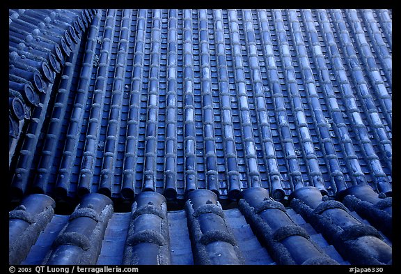 Roof detail. Himeji, Japan (color)