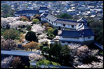 Castle grounds and walls with cherry trees in bloom. Himeji, Japan
