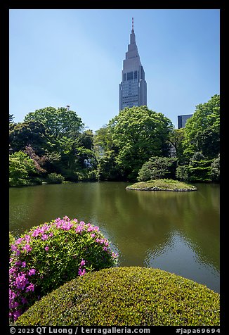 Kami-no-ike Pond and Decomo Tower, once the tallest building in Japan, Shinjuku. Tokyo, Japan (color)
