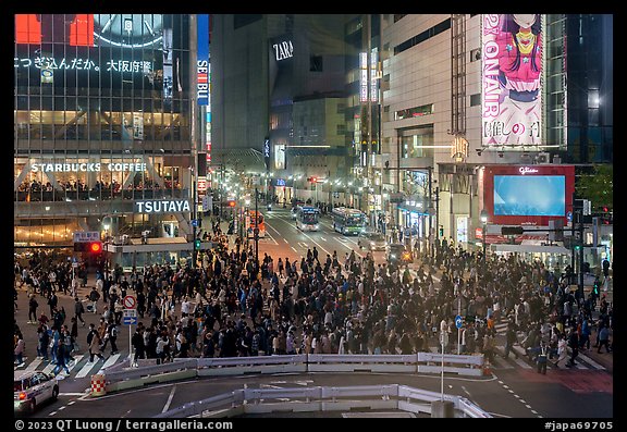 Shiboya crossing at night. Tokyo, Japan (color)