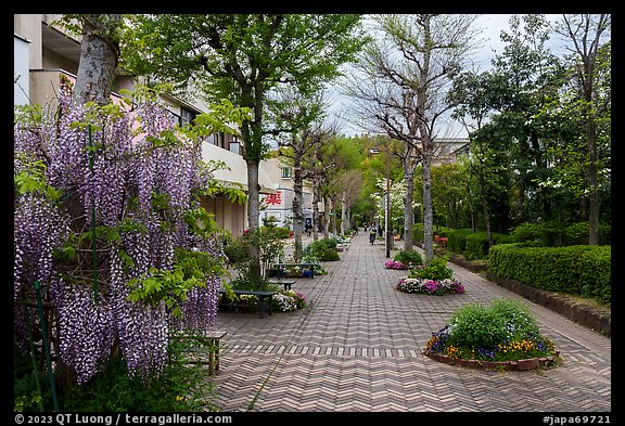 Alley in residential apartment complex, Yokohama. Japan (color)