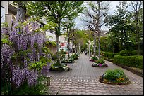 Alley in residential apartment complex, Yokohama. Japan ( color)