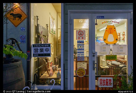 Capybara petting storefront, Yokohama. Japan (color)