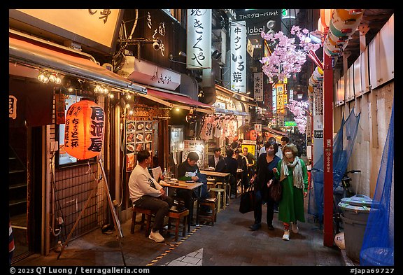 Yakitori Alley at night, Shinjuku. Tokyo, Japan (color)