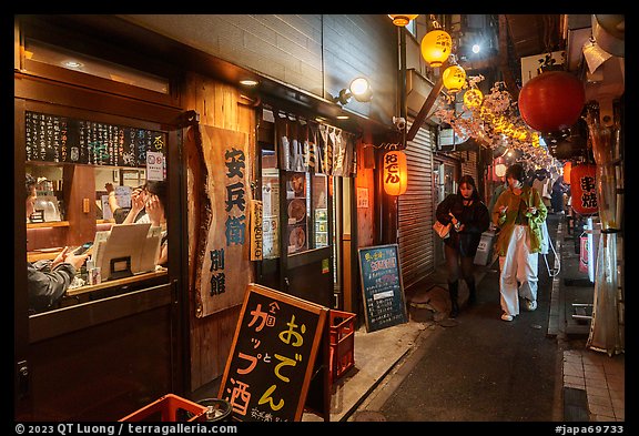 Omoide Yokocho alley lined up with eateries, Shinjuku. Tokyo, Japan (color)