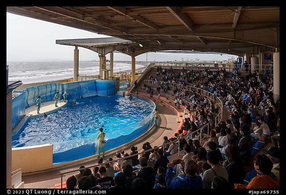 Dolphin Show Stadim, Enoshima Aquarium. Fujisawa, Japan (color)