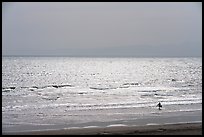 Surfer, Katase Nishihama beach. Fujisawa, Japan ( color)