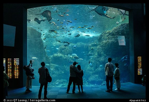 Big Sagami Bay Tank, Enoshima Aquarium. Fujisawa, Japan (color)