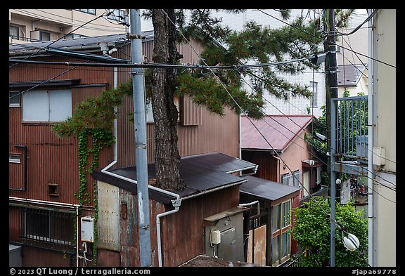 Bronze Tori gate, Nakamise Street, and Hetsumiya Shrine in the rain. Fujisawa, Japan (color)