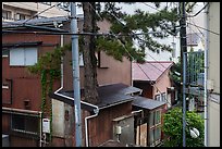 Bronze Tori gate, Nakamise Street, and Hetsumiya Shrine in the rain. Fujisawa, Japan ( color)