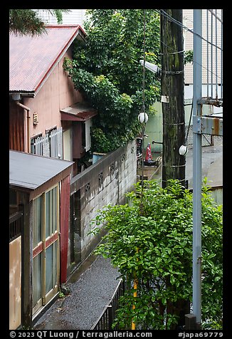 Wooden house with tree through roof. Fujisawa, Japan (color)
