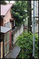 Wooden house with tree through roof. Fujisawa, Japan ( color)