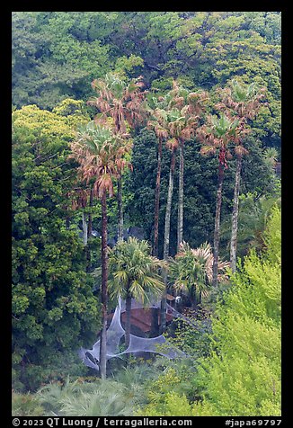 Samuel Cocking Garden from above. Enoshima Island, Japan (color)