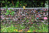 Love locks at Ryuren no Kane. Enoshima Island, Japan ( color)